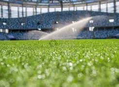 辽宁队横扫,山东,终场,竞彩体育首页,即时比分,比分直播,足球比分直播,竞彩官网